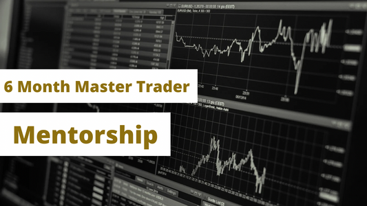 6 Month Master Trader Mentorship